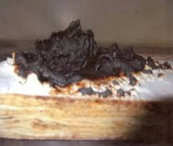 ace fire retardant wood coating